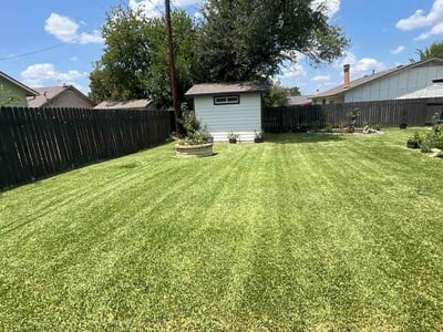 Lawn Care service in Wells Branch, 78728