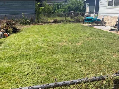 Lawn Care service in Champaign, 61820