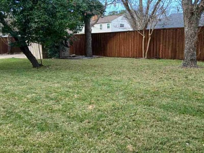 Lawn Care service in Farmers Branch, 75234