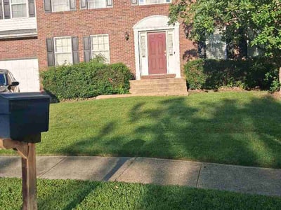 Lawn Care service in Fort Washington, 20744