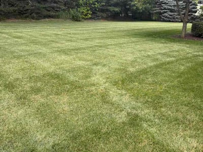 Lawn Care service in Kaukauna, 54130