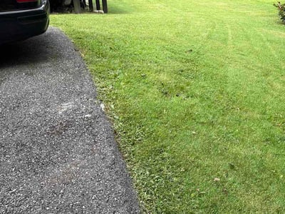 Lawn Care service in Hyattsville, 20781