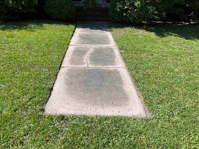 Lawn Care service in Hartsville, 29550