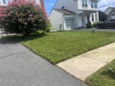 Lawn Care service in ,