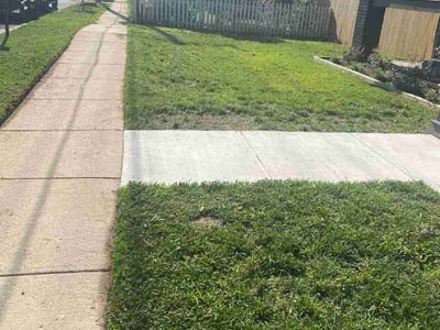 Lawn Care service in Capitol Heights, 20743