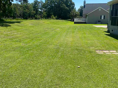 Lawn Care service in Hartsville, 29550