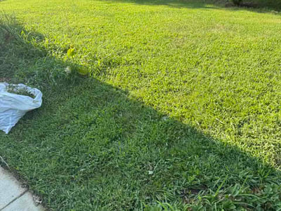 Lawn Care service in Capitol Heights, 20743