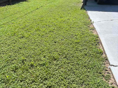 Lawn Care service in Dripping Springs, 78620