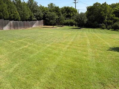 Lawn Care service in Sunnyvale, 75182