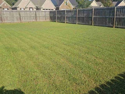 Lawn Care service in Millington, 38053