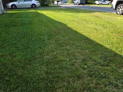 Lawn Care service in Fitchburg, 01420