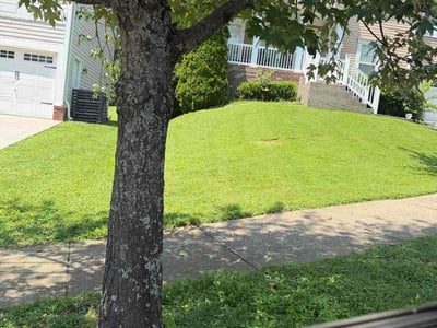 Lawn Care service in Franklin, 37064