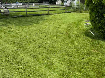 Lawn Care service in Claymont, 19703
