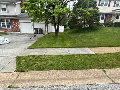 Lawn Care service in Claymont, 19703