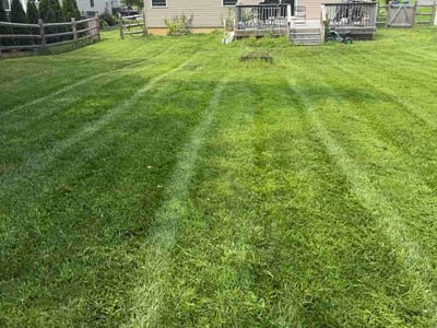 Lawn Care service in Elkton, 21921