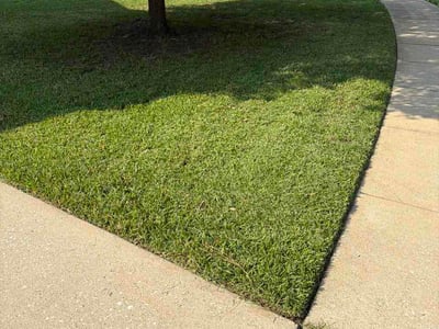 Lawn Care service in Aiken, 29801