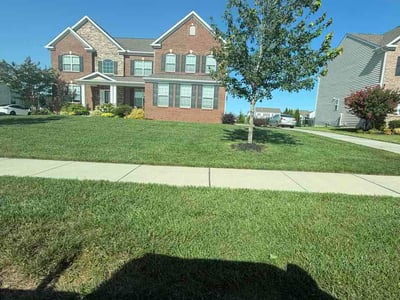 Lawn Care service in Middletown, 19709