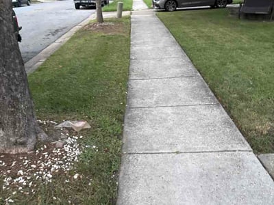 Lawn Care service in District Heights, 20747