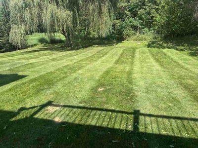 Lawn Care service in Oxford, 48371