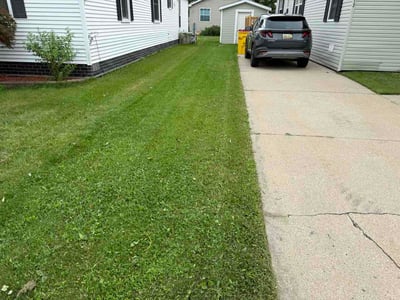 Lawn Care service in Oxford, 48371