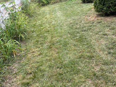 Lawn Care service in Ann Arbor, 48104