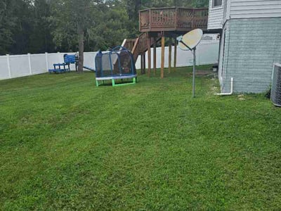 Lawn Care service in College Park, 20742