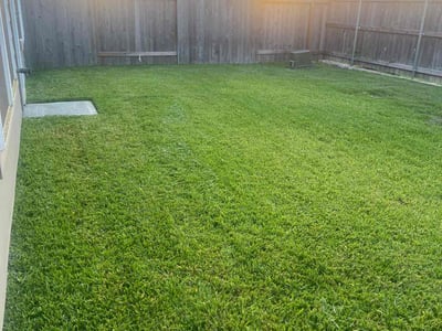Lawn Care service in Houston, 77002