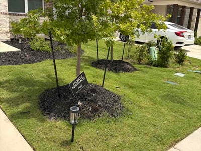 Lawn Care service in Hutto, 78634