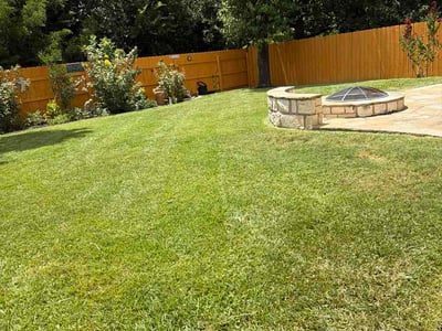 Lawn Care service in Round Rock, 78664