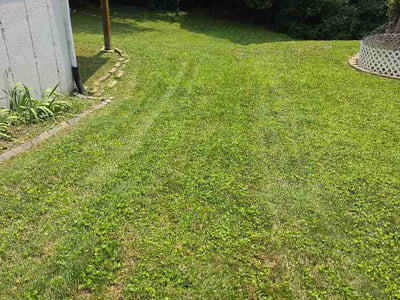 Lawn Care service in Collinsville, 62234