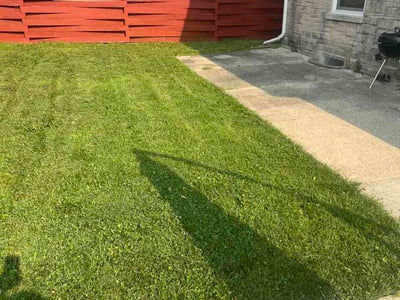 Lawn Care service in Appleton, 54911