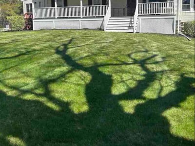 Lawn Care service in Webster, 01570