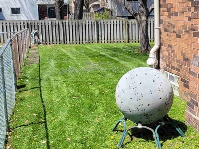 Lawn Care service in Oak Park, 48237