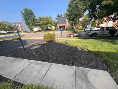 Lawn Care service in Burke, 22015