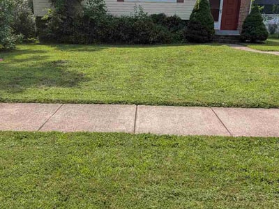 Lawn Care service in Lorton, 22079