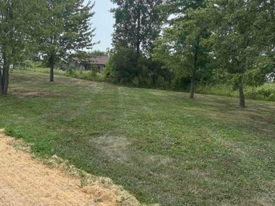 Lawn Care service in Ypsilanti, 48197