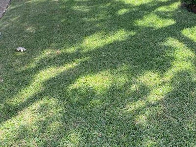 Lawn Care service in Dale, 78616