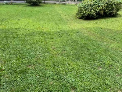 Lawn Care service in Wilmington, 19801