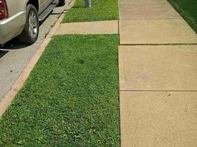 Lawn Care service in Washington, 63090