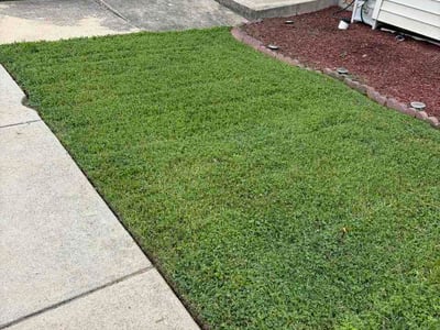 Lawn Care service in Temple Hills, 20748
