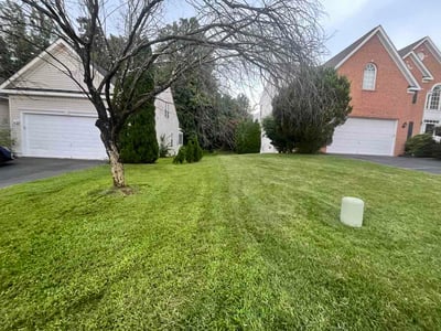 Lawn Care service in Gainesville, 20155