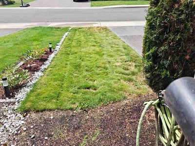 Lawn Care service in Gig Harbor, 98335