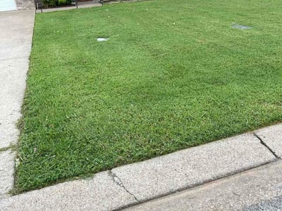 Lawn Care service in Pleasant View, 37146