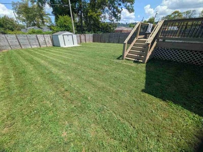 Lawn Care service in Soddy Daisy, 37379