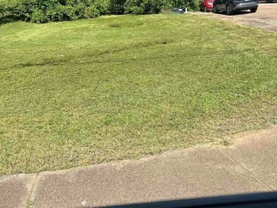Lawn Care service in Soddy Daisy, 37379