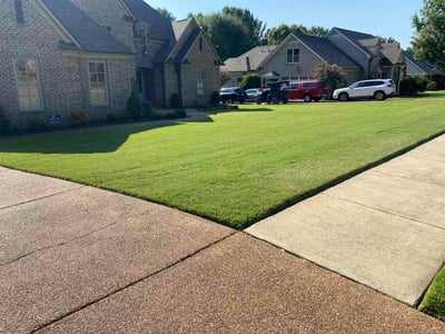 Lawn Care service in Collierville, 38017
