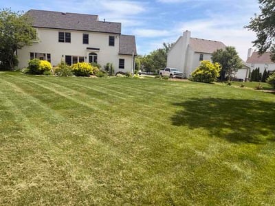 Lawn Care service in Perrysburg, 43551