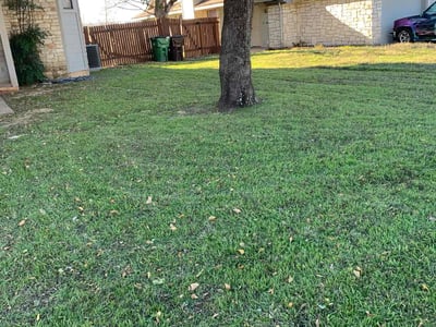Lawn Care service in North Attleboro, 02760