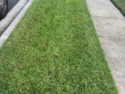 Lawn Care service in Oxon Hill, 20745