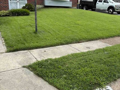 Lawn Care service in Newark, 19713